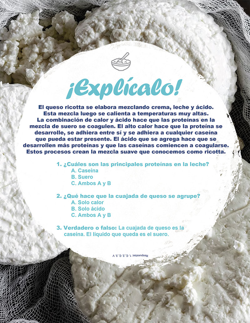 Instrucciones para Queso Ricotta