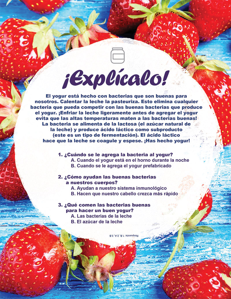 Instrucciones para Yogur