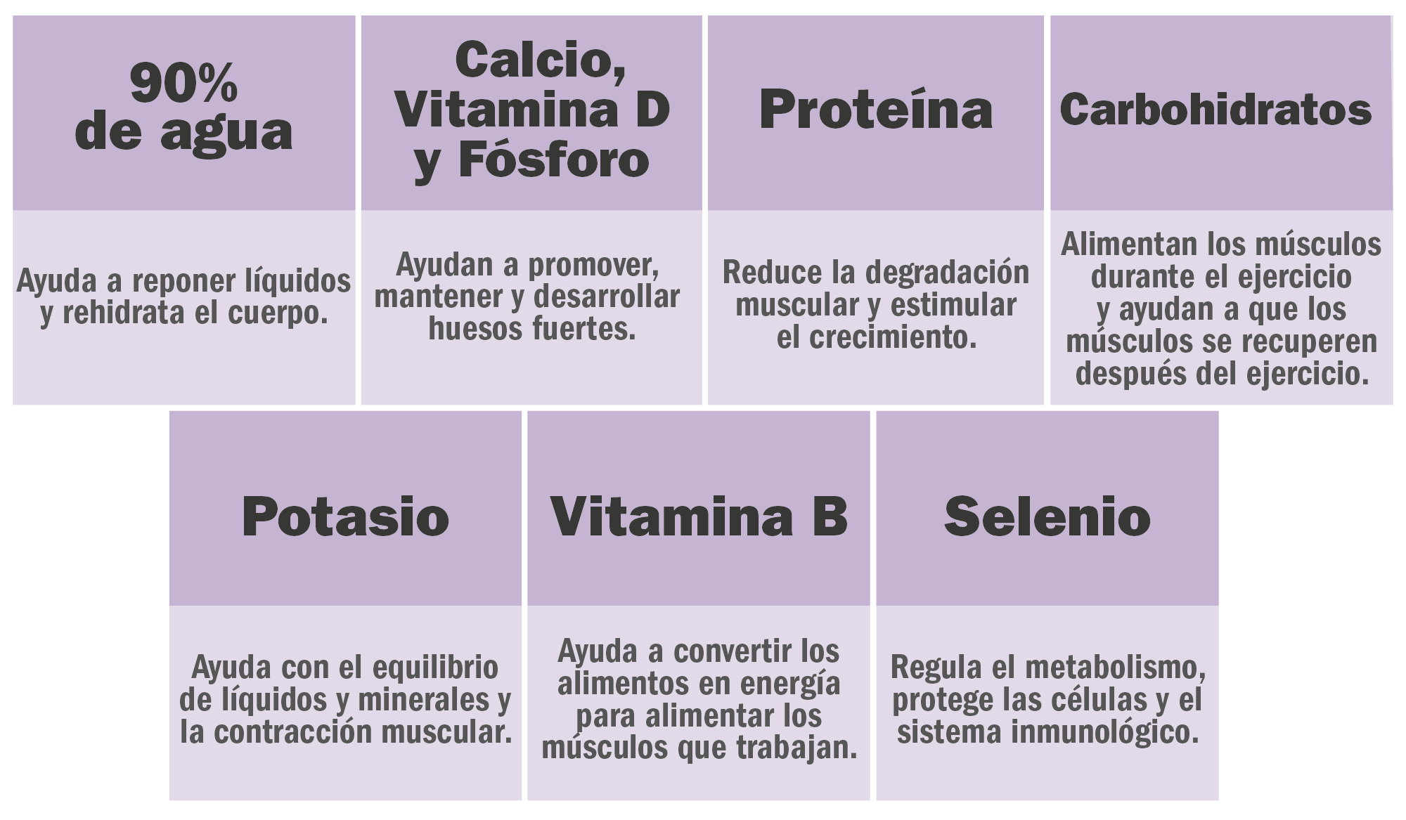 Beneficios y propiedades de la leche chocolatada