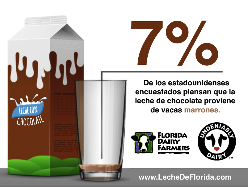 ¿La Leche De Chocolate Viene de Vacas Marrones?