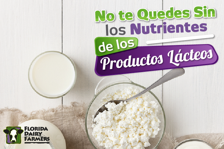 No te quedes sin los nutrientes de los productos lácteos