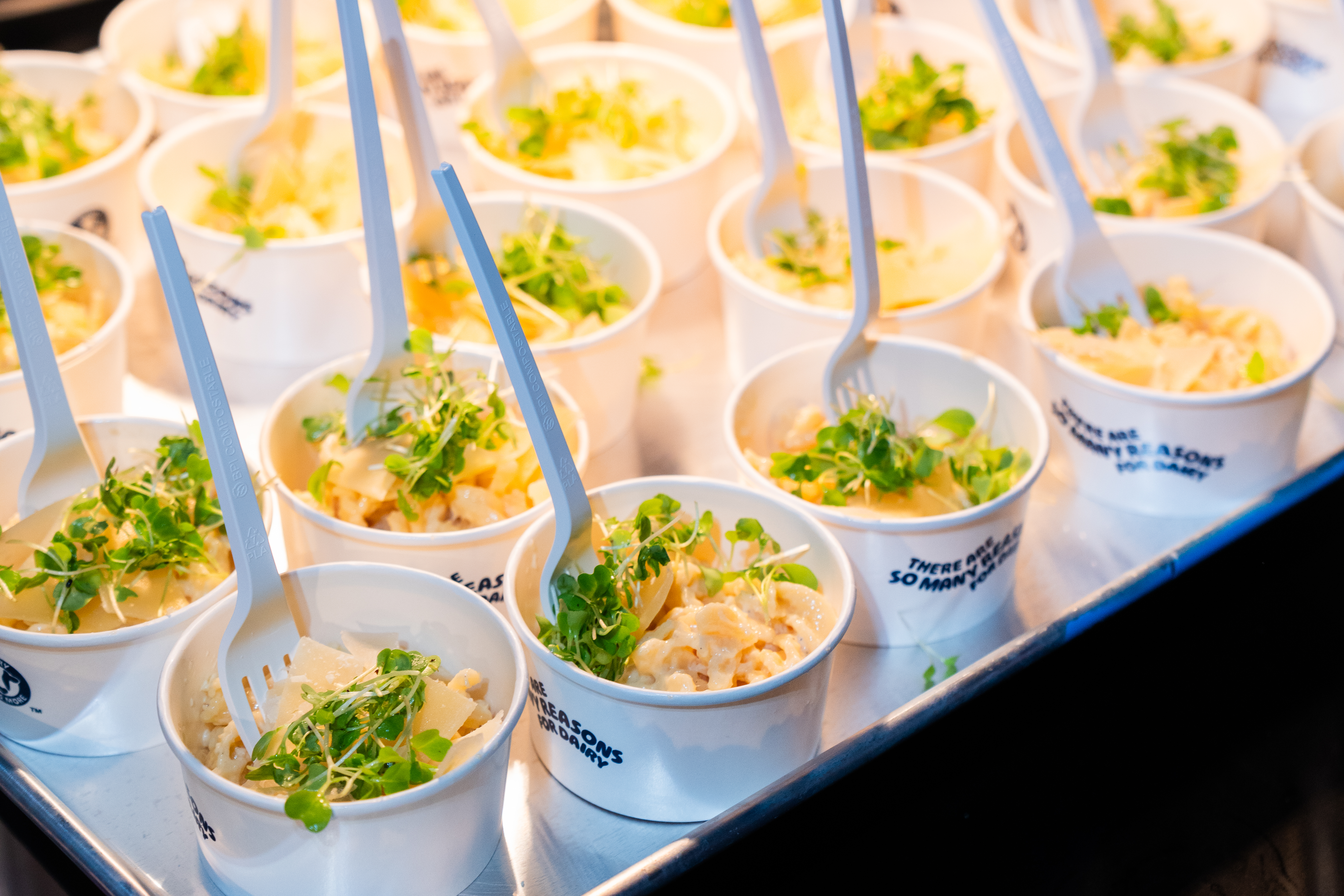 Rotini con Salsa Cremosa de Queso Parmesano