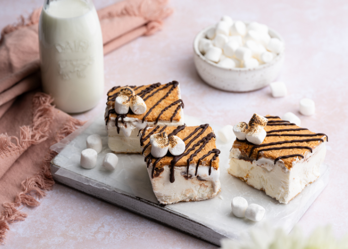 Sandwich de smores de yogur congelado