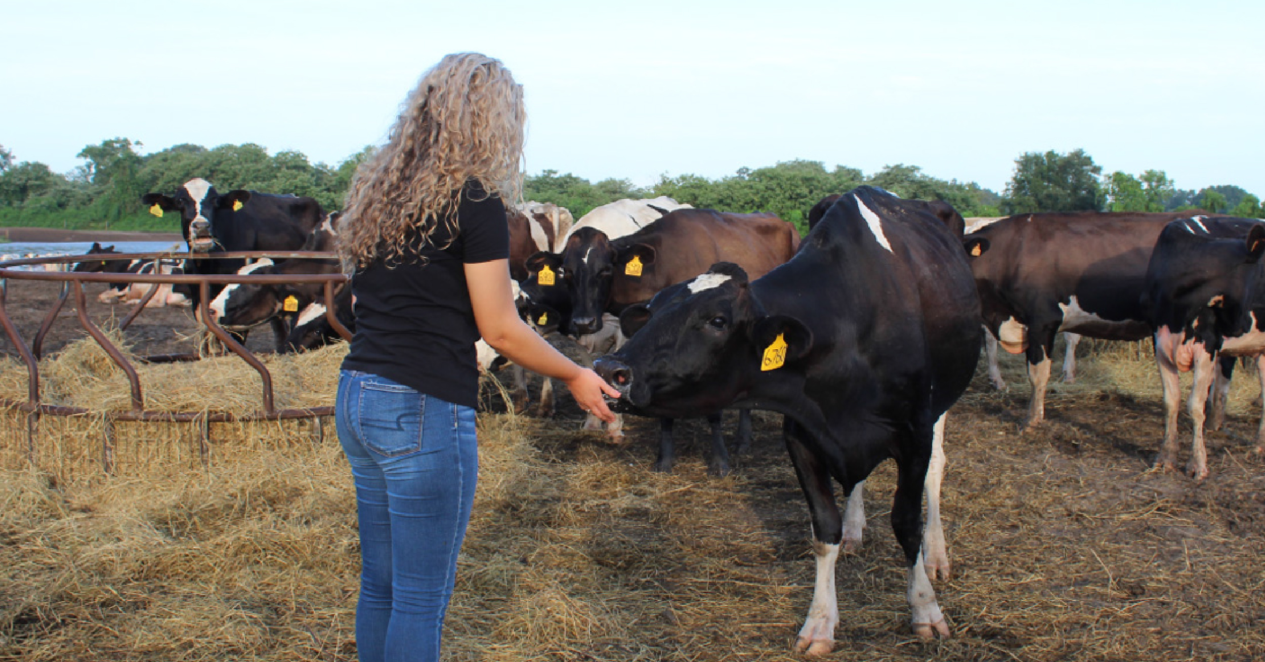 Sostenibilidad En Las Granjas Lecheras De La Florida: El Legado De Las Mujeres Que Cuidan El Planeta 